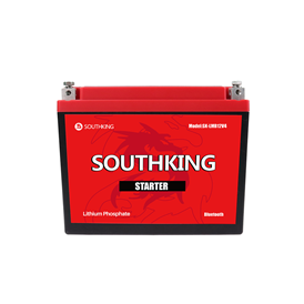 SK-LMB12V4