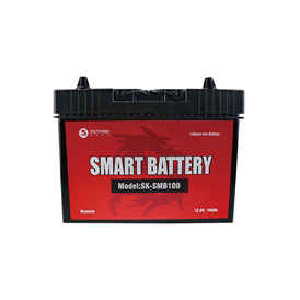 SK-SMB100